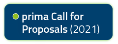 Pulsante Call for Proposals - 2021
