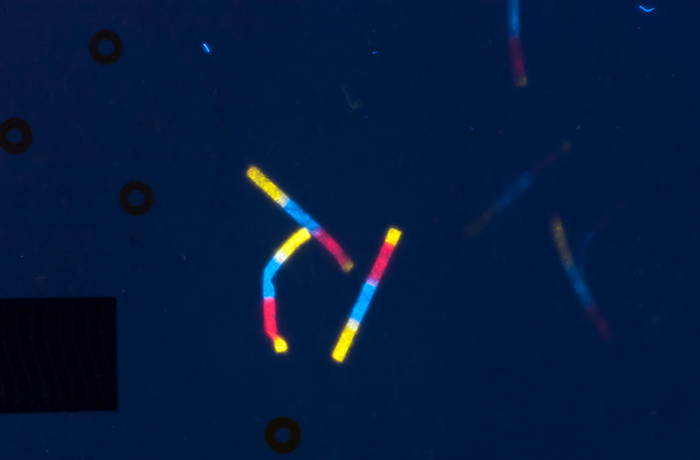 Foto con luce ultravioletta delle fibrille fluorescenti nelle banconote della serie europa