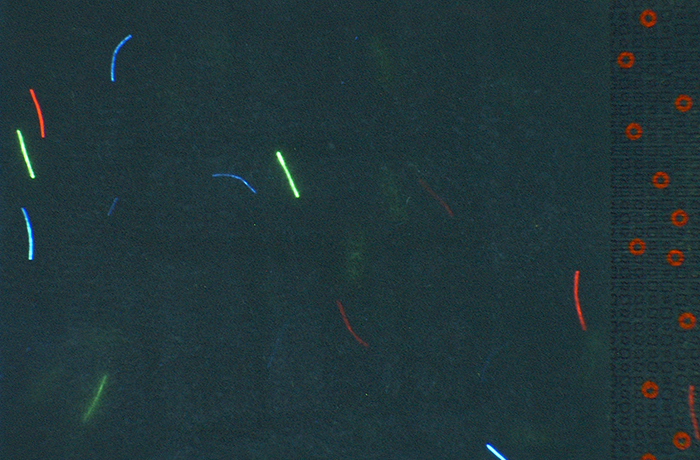 Foto con luce ultravioletta delle fibrille fluorescenti nelle banconote della prima serie