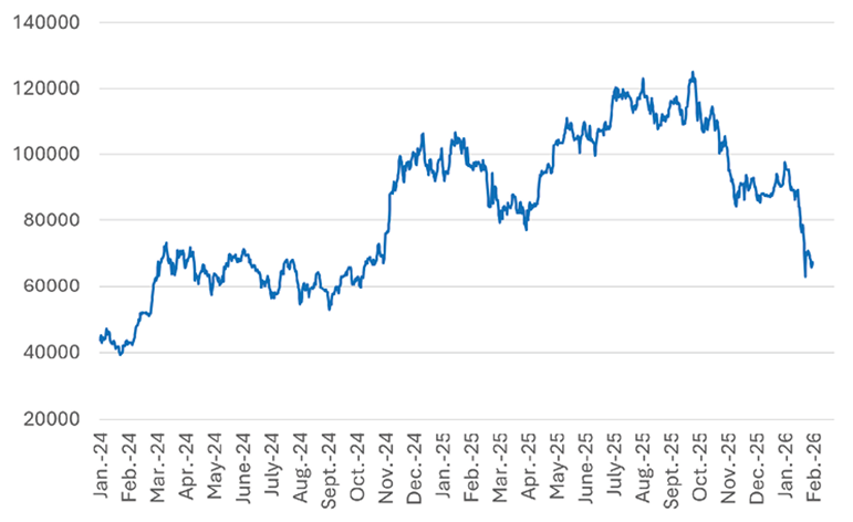 The chart shows the evolution of Bitcoins market price from January 2024 to mid February 2026
