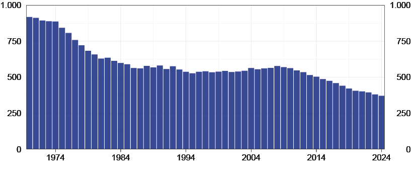 Il grafico riporta il numero di nascite annuali in Italia (in migliaia), dal 1970 al 2024.