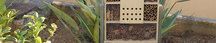 Testatina Biodiversità - In sintesi: la figura ritrae l’oasi delle api installata nel giardino della Filiale di Agrigento della Banca d’Italia.
Scheda: la fotografia è stata scattata durante l’evento di inaugurazione dell’oasi della api.
In dettaglio: nel marzo 2023, nel giardino della Filiale di Agrigento, è stata inaugurata un’oasi delle api, cioè un’area con piante che producono efflorescenze nettarifere che si alternano durante tutto l’anno, nella quale sono stati creati specifici ambienti accoglienti per le api e altri insetti impollinatori. L’iniziativa è stata realizzata assieme al Rotary Club locale, nell’ambito di un progetto del Rotary International per la salvaguardia delle api e la tutela della biodiversità. Alla cerimonia di inaugurazione è intervenuto un esperto apicultore che ha illustrato la complessa attività e socialità di questi insetti.